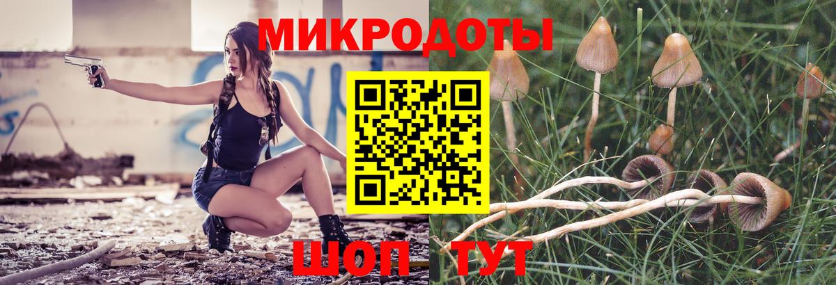 Канаш  Псилоцибиновые грибы мицелий  где найти   Вход с VPN  Галлюциногенные грибы MAGIC MUSHROOMS 